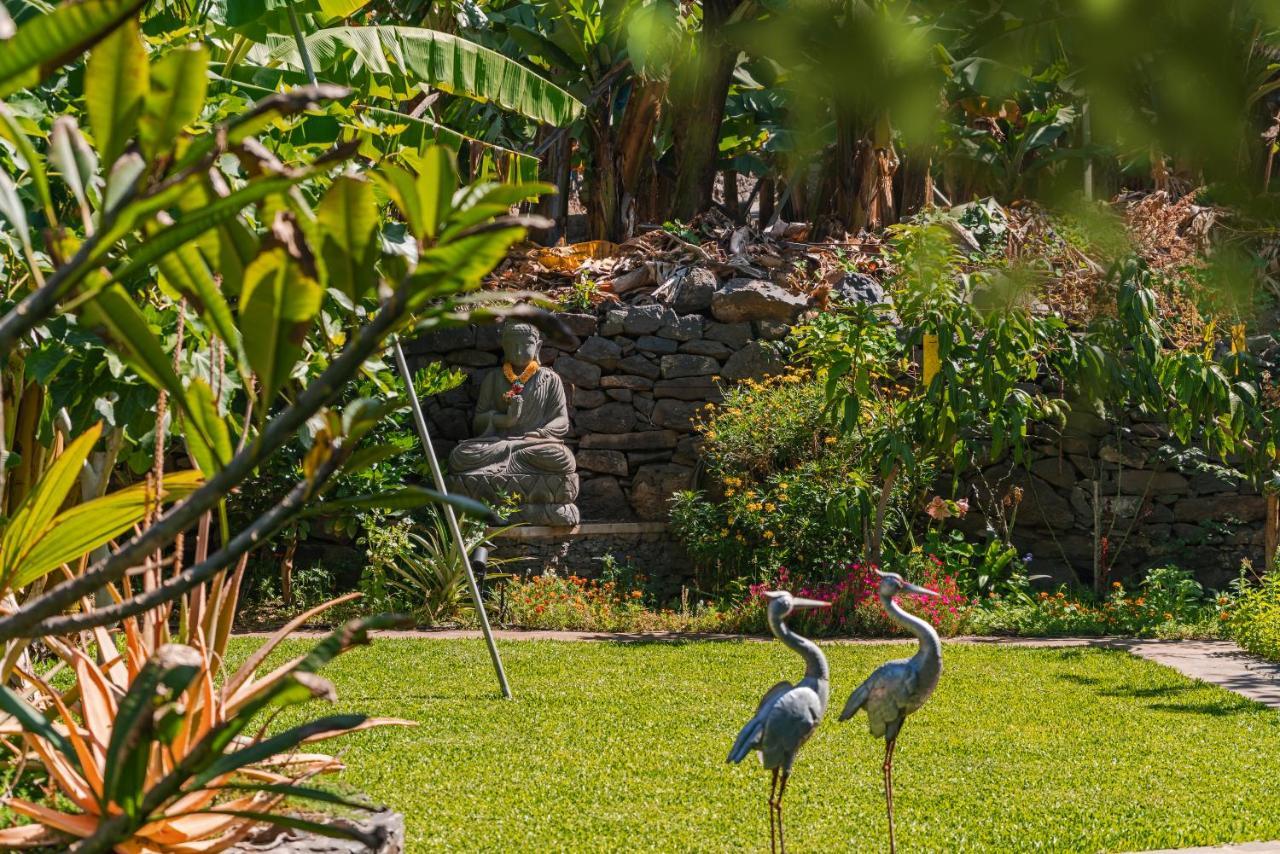 Appartement Quinta Golfinho à Arco da Calheta  Extérieur photo