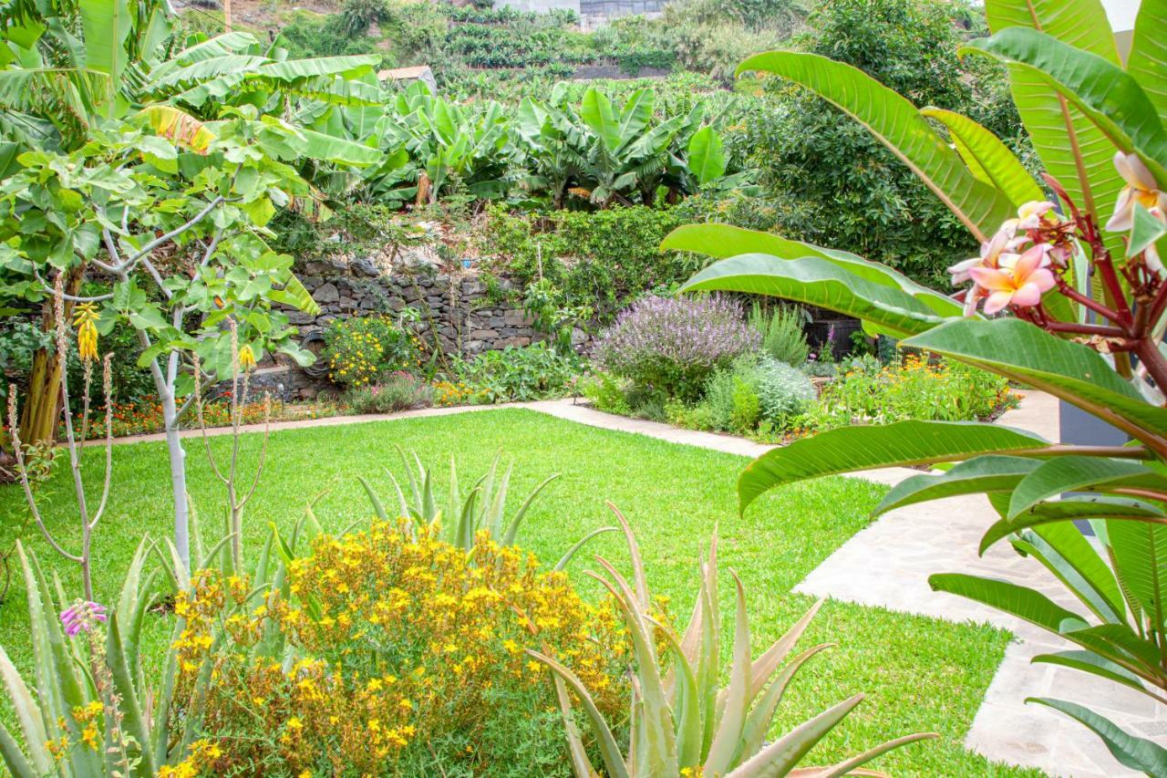 Appartement Quinta Golfinho à Arco da Calheta  Extérieur photo