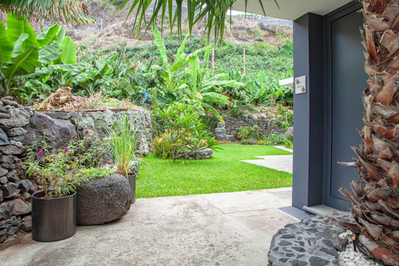 Appartement Quinta Golfinho à Arco da Calheta  Extérieur photo