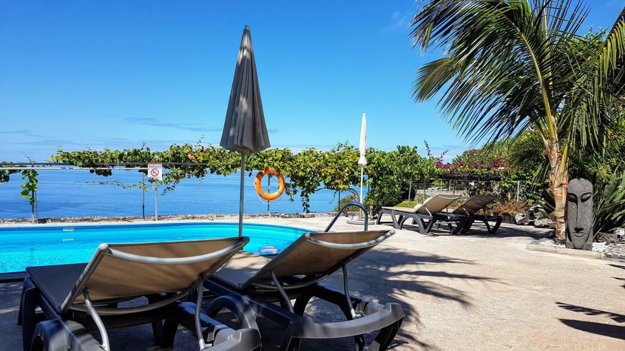 Appartement Quinta Golfinho à Arco da Calheta  Extérieur photo